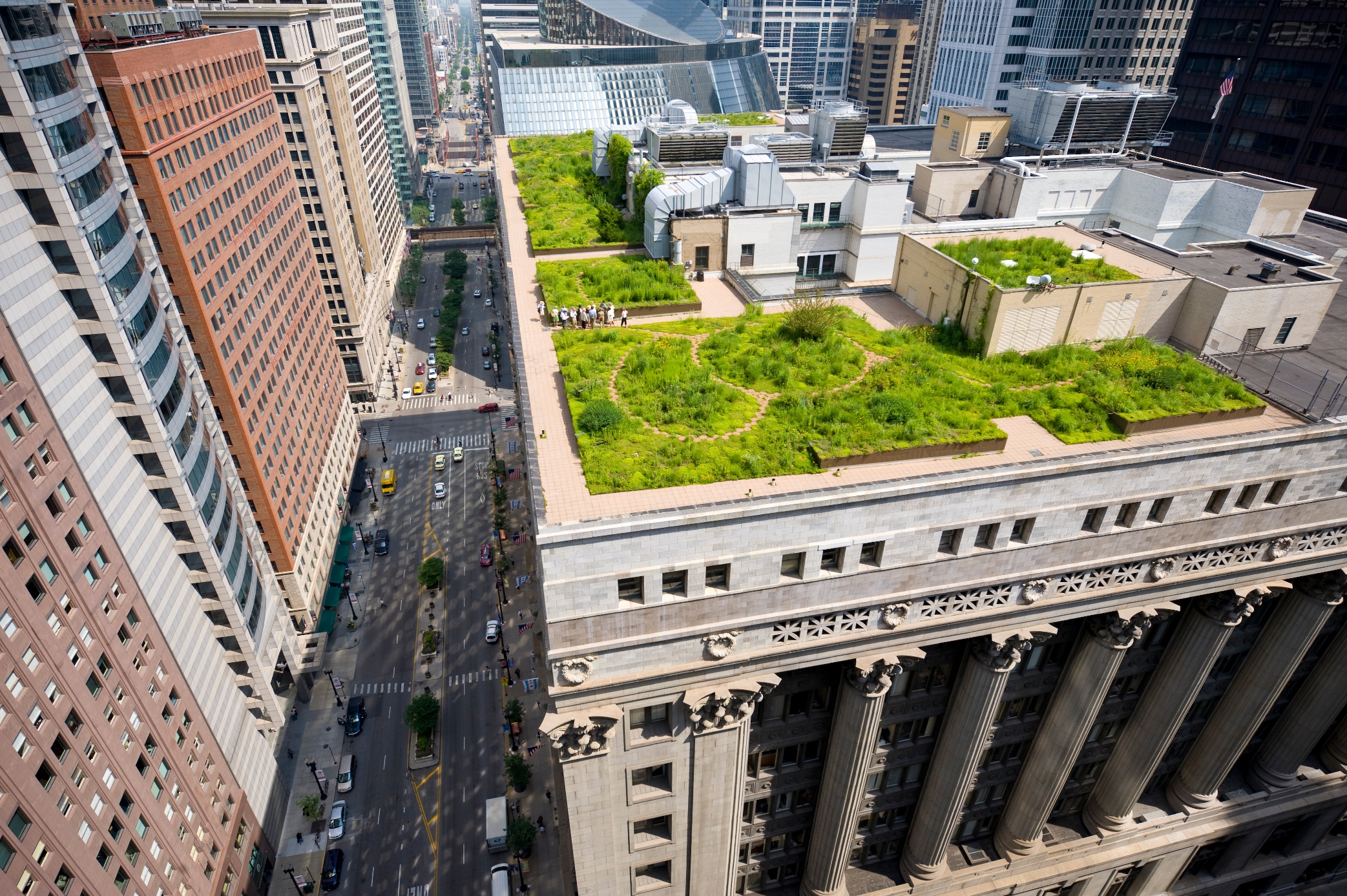 Зеленая крыша читать. City Hall Rooftop Garden: зеленая крыша в Чикаго. Зеленая крыша здания Сити Холл Чикаго. City Hall в Чикаго сад на крыше. Сити Холл Чикаго.