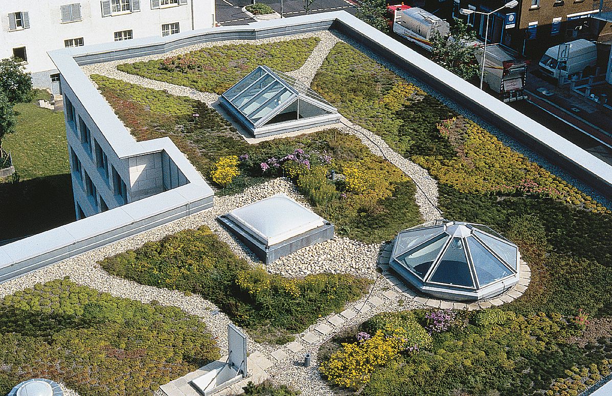 Технология сада. Эксплуатируемая плоская кровля Green Roof. Экстенсивная зеленая кровля плоская. Эксплуатируемая кровля с озеленением. Сад на плоской крыше.