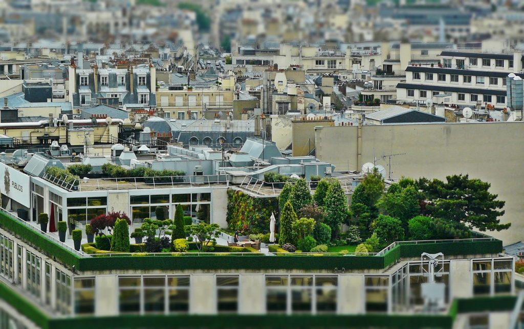 Озеленение и благоустройство на городской крыше