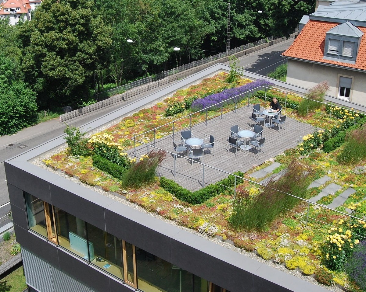 Эксплуатируемая плоская кровля Green Roof