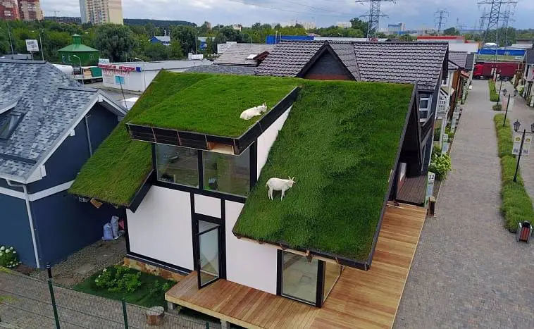 озеленение крыш в городе