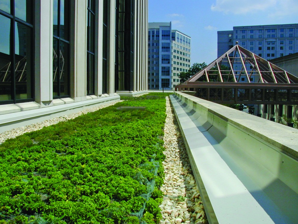 Озеленение крыш в городах
