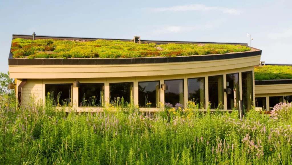проектирование зеленых крыш