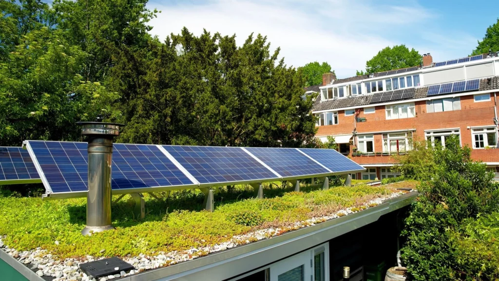 солнечные батареи на зеленых крышах
