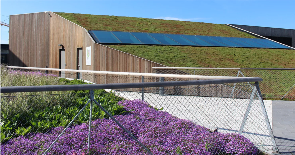Озеленение крыши торгового центра Emporia в Мальме | Швеция: интересные проекты
